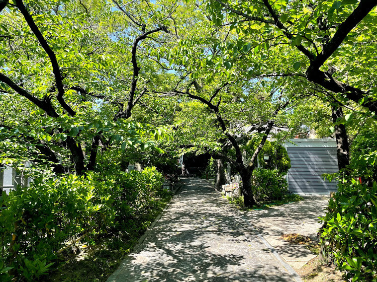 龍台院　参道