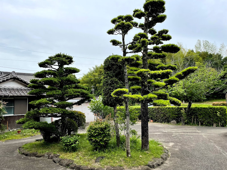 浄蓮寺 境内